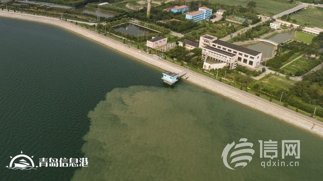 水资源匮乏城市亟需“解渴” 青岛超前谋划编织大水网