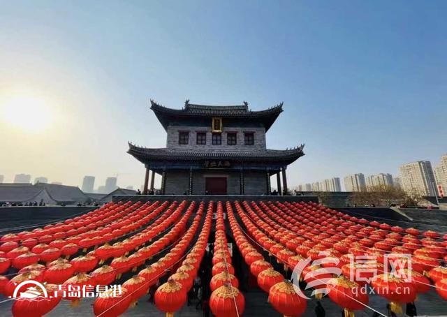 青岛国际种都核心区构建种业高地 即墨区助推青岛建设农业强市