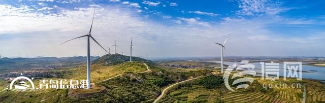 青岛国际种都核心区构建种业高地 即墨区助推青岛建设农业强市