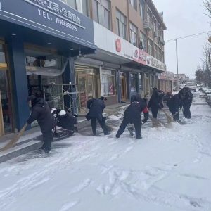 迎“寒”而上，南村中队扫雪除冰维护良好镇容秩序！