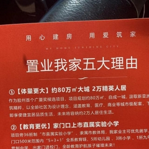 孩子上4年级了 我家置业宣传“家门口”的小学还没建好