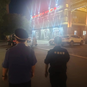 同和执法中队：加强夜间文明养犬执法巡查工作，共同建设和谐社区 ...