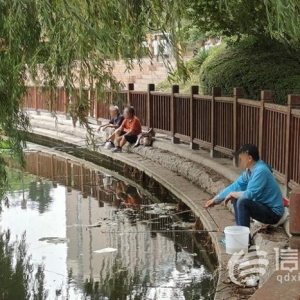 浮山后锦鲤湖栏杆破损 工作人员将加强巡视劝离垂钓者