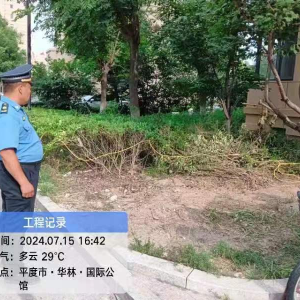 李园街道综合行政执法中队“执法进社区 绿化水平再提升”