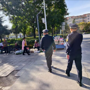 以法治之力 绘就美丽市容新画卷