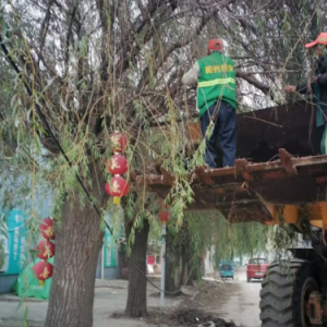 及时修剪行道树，消除安全隐患