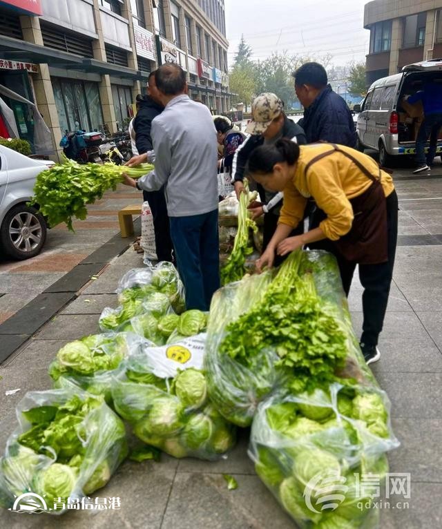 “信新市集”走进周口路社区 平价蔬菜琳琅满目居民乐享“烟火气”