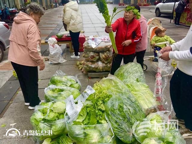 “信新市集”走进周口路社区 平价蔬菜琳琅满目居民乐享“烟火气”