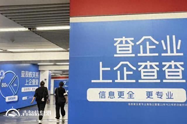 IPO观察丨企查查冲击资本市场，商业查询是门好生意吗