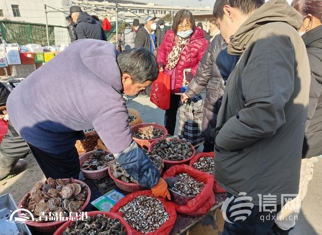 年味渐浓 信网探访李村大集迎新春盛景