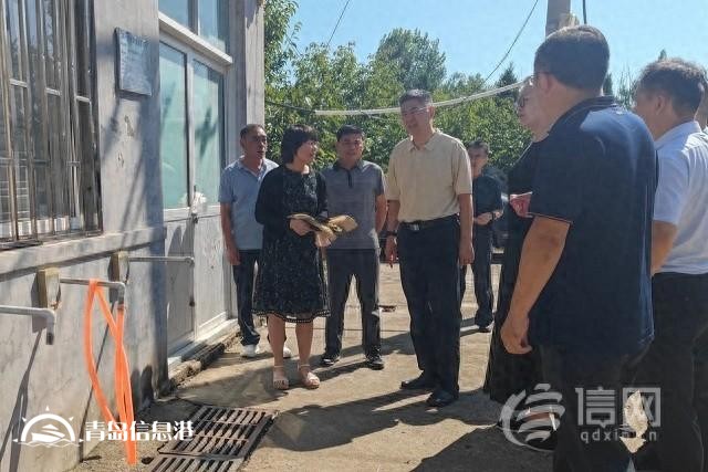破解农村供水“痛点” 青岛市政协委员支招助力供水管网漏损治理