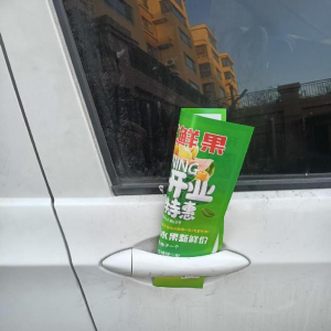 平度市凤台执法中队在行动——对违规散发宣传单页说“不” ...