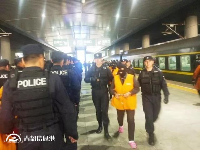 8000多人受骗的哈尔滨“中国信网”诈骗案告破