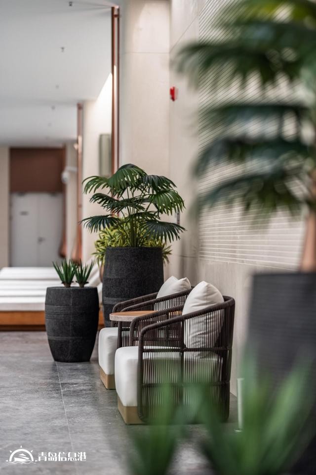 3月9日经济学家马光远空降青岛！重磅预测2025人居新趋势