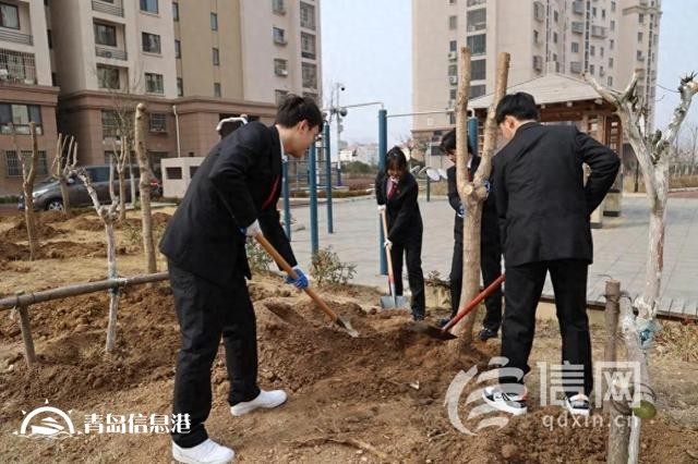 “植”此青绿 崂山法院开展义务植树和环保普法宣传活动