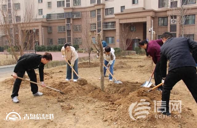 崂山区金家岭街道举办2025年义务植树活动 共绘生态梦