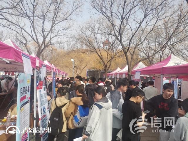 崂山区引才“专列”入校 激发省内高校青年就业热潮