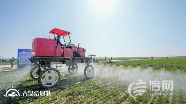 青岛春季农业生产会启幕 专家助力小麦管理与病害防治