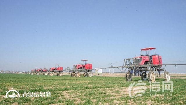青岛春季农业生产会启幕 专家助力小麦管理与病害防治