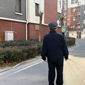 “信用+”东阁执法中队严查占绿毁绿行为 守护宜居美好家园