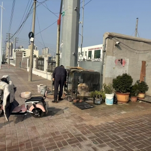 同和中队：文明养犬护和谐，执法巡查守民安