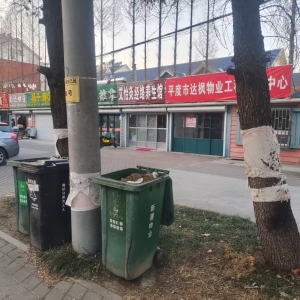 同和中队：严巡细督促分类，执法护航美家园