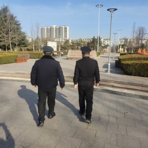同和中队：强化绿化执法巡查，守护辖区绿色家园