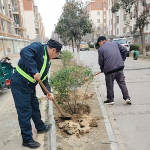 执法督促护绿 春分补种焕新 小区绿化养护提质见效