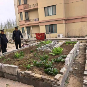 执法护绿守初心 爱绿同行共绘生态新图景