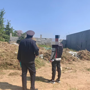 凤台中队在行动 共建辖区宜居环境