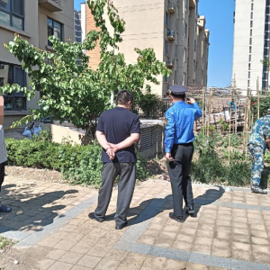凤台中队 清理占绿种菜 小区更宜居