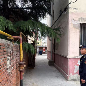 平度市东阁街道执法中队：加强犬类管理，诚信养犬