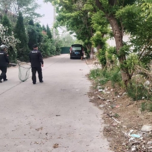 凤台中队：整治流浪犬 办好民生事