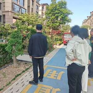 平度市东阁街道执法中队整治占绿毁绿，守护城市绿线