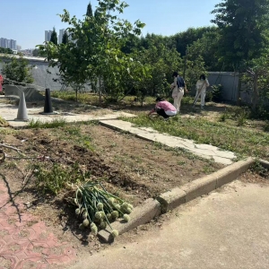 同和中队：守护小区绿色家园，整治毁绿种菜乱象