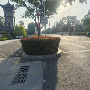 同和中队：“信用+执法”整治占道经营